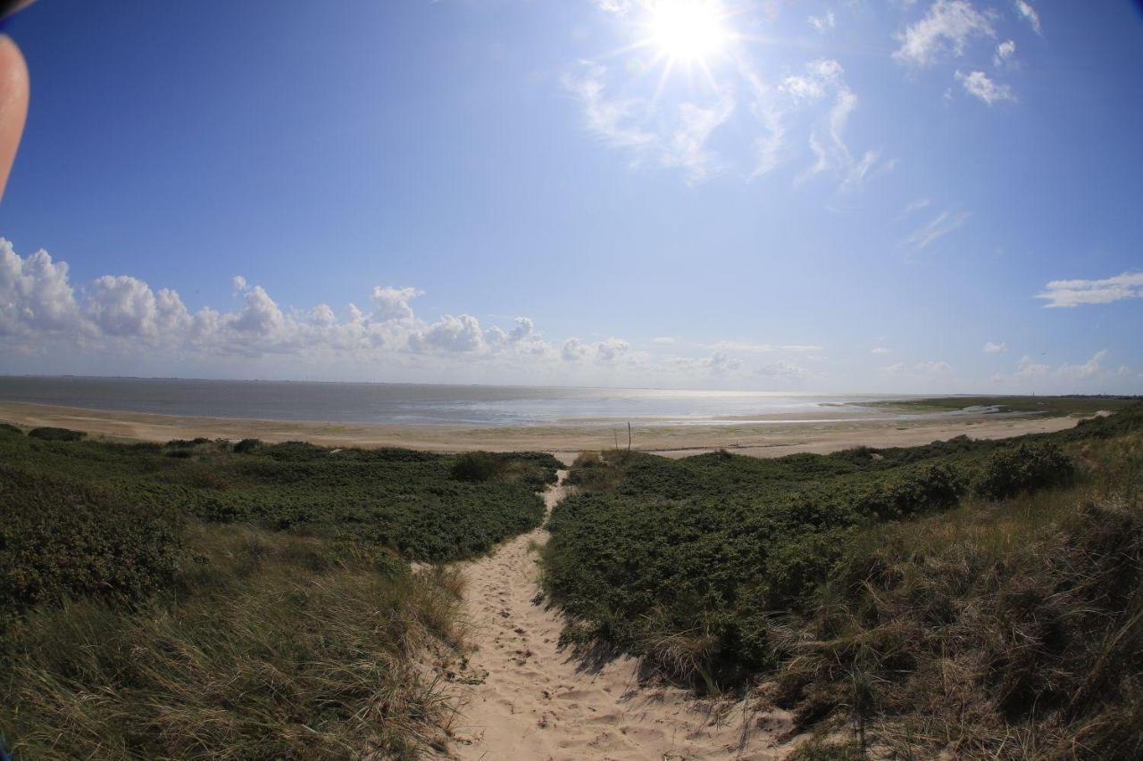 Bunte Kuh * Wangerooge